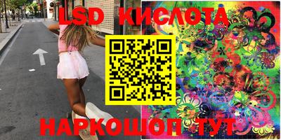стаф Краснодар