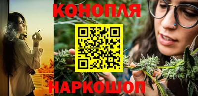 стаф Краснодар