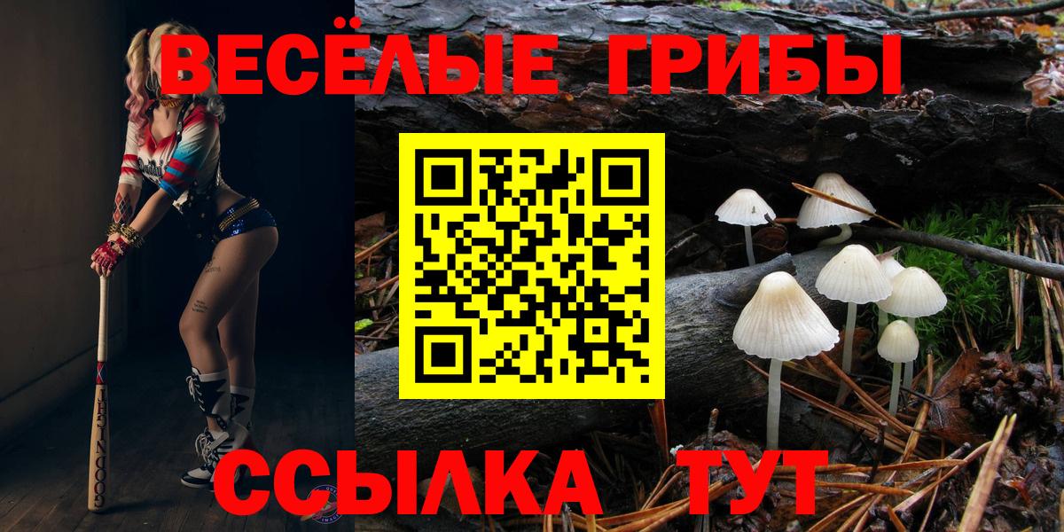 Галлюциногенные грибы Psilocybe  Вход с VPN  Кимовск 