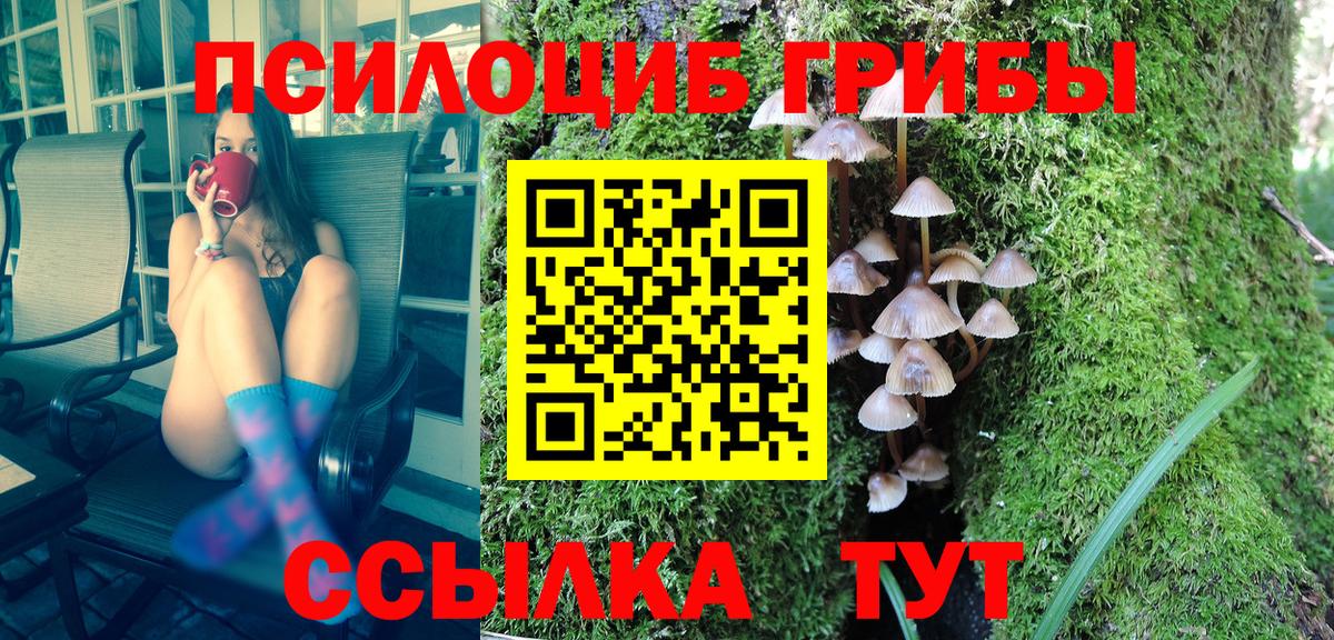 Псилоцибиновые грибы ЛСД Кимовск